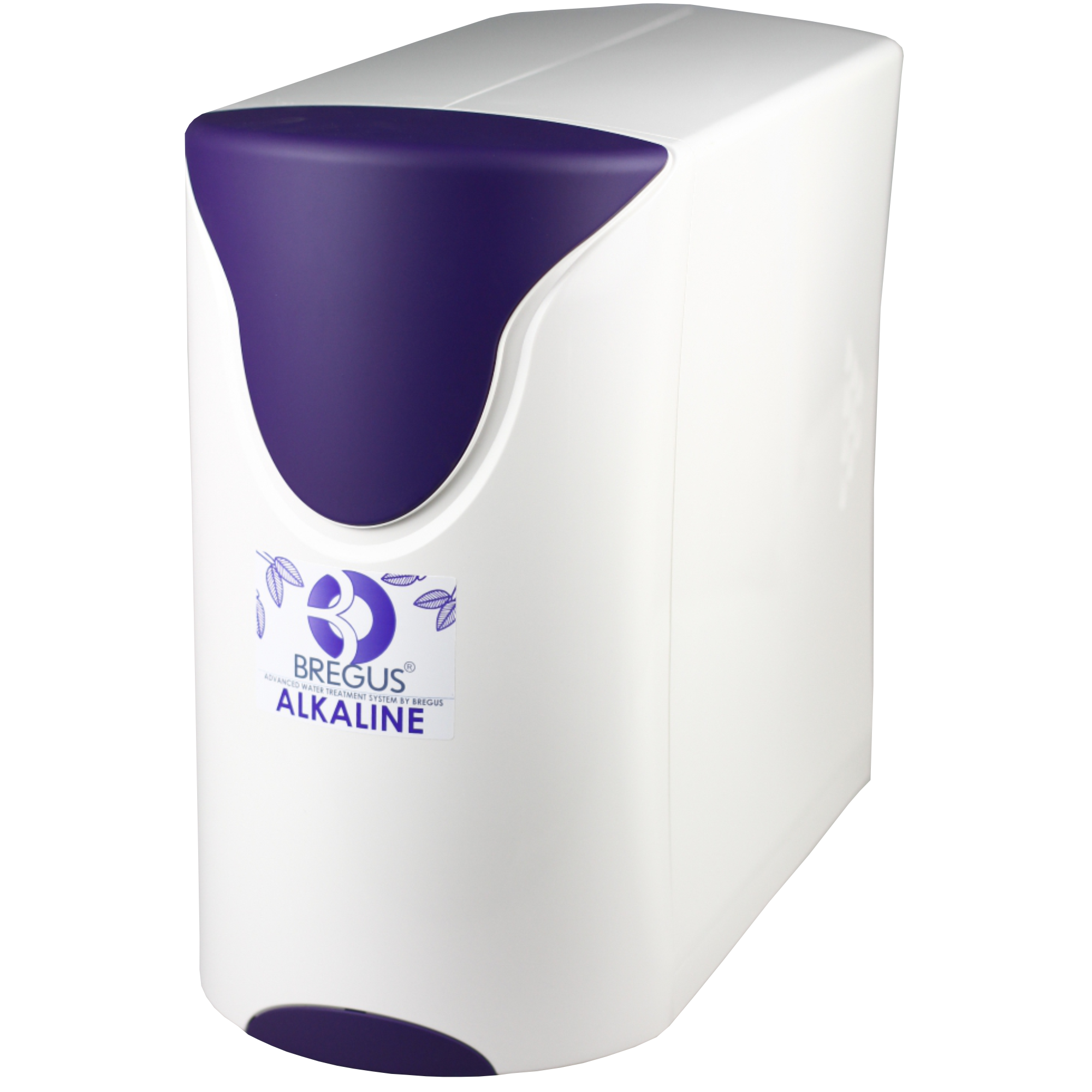 Bregus Alkaline RO система фіолетова